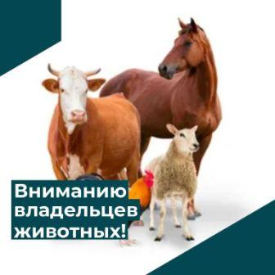 Информация для владельцев, осуществляющих деятельность по содержанию животных, по недопущению заноса и распространения особоопасных и карантинных заболеваний на территории поселения