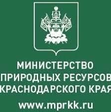 О недопущении незаконного использования земель лесного фонда