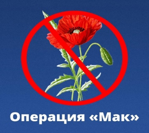 В период с 13 по 22 июня 2022 г. проходит первый этап межведомственной комплексной оперативно-профилактической операции «МАК-2022».