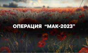 В Новокубанском районе проводится оперативно-профилактическая операция «Мак-2023» В Новокубанском районе проводится оперативно-профилактическая операция «Мак-2023»